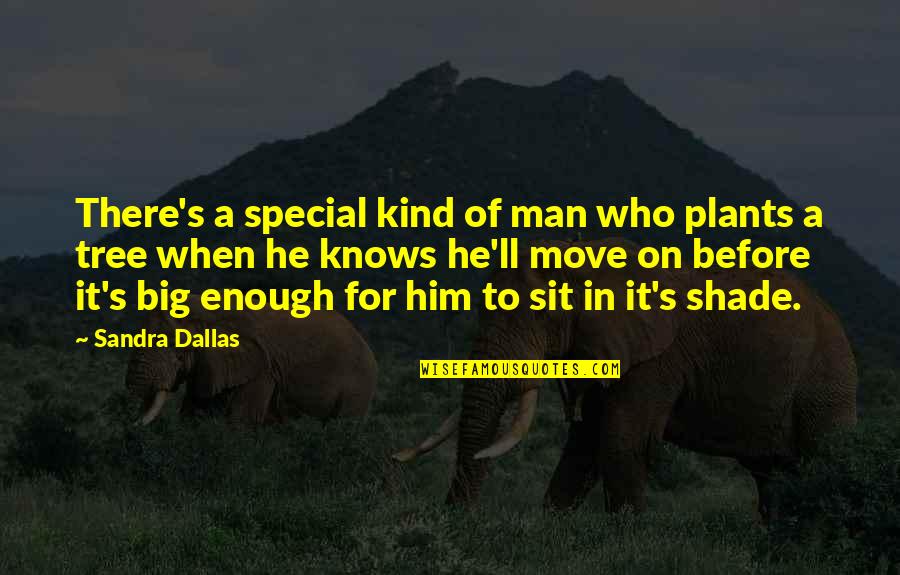 Shade Of Tree Quotes By Sandra Dallas: There's a special kind of man who plants