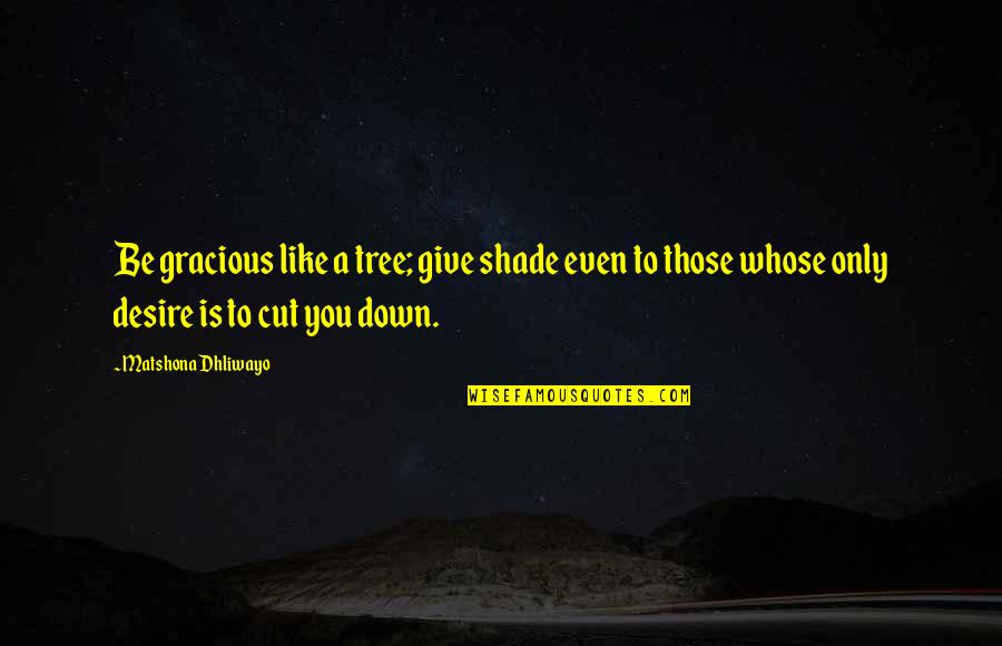 Shade Quotes By Matshona Dhliwayo: Be gracious like a tree; give shade even