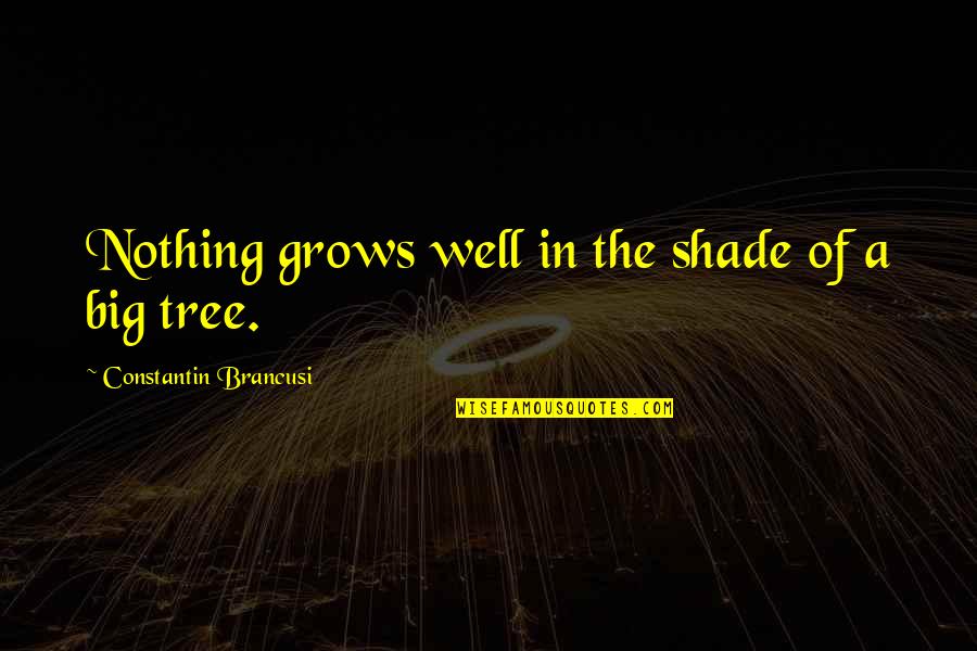 Shade Tree Quotes By Constantin Brancusi: Nothing grows well in the shade of a