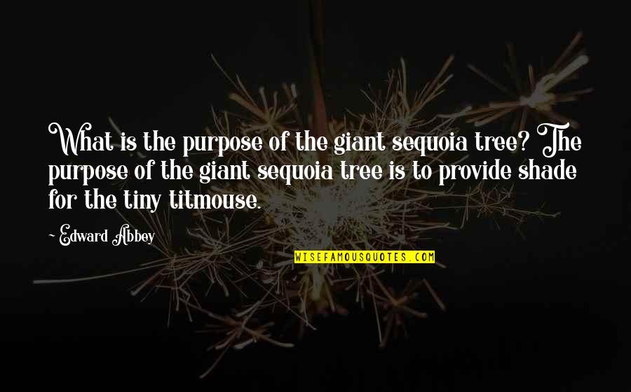 Shade Tree Quotes By Edward Abbey: What is the purpose of the giant sequoia