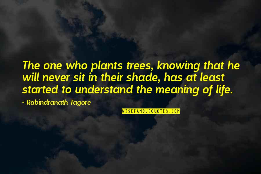 Shade Tree Quotes By Rabindranath Tagore: The one who plants trees, knowing that he