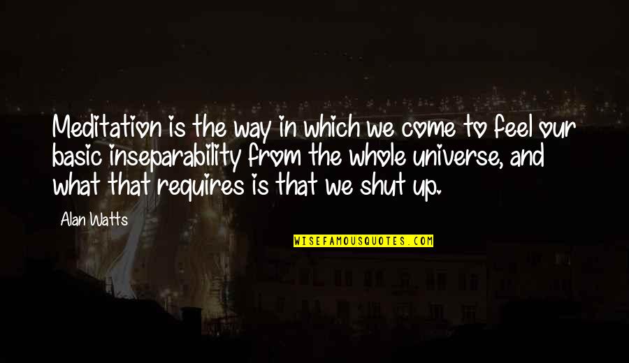 Shades Of Gray Quotes By Alan Watts: Meditation is the way in which we come