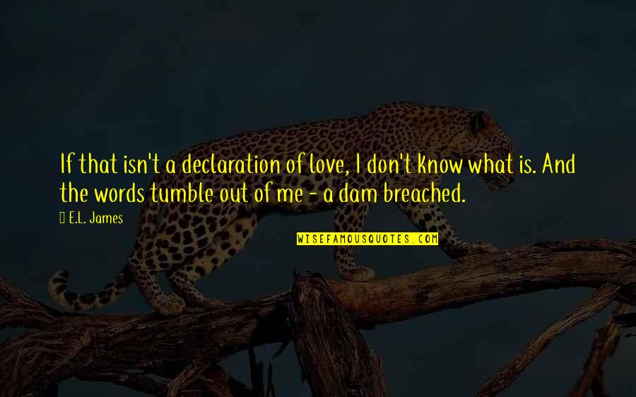 Shades Of Me Quotes By E.L. James: If that isn't a declaration of love, I
