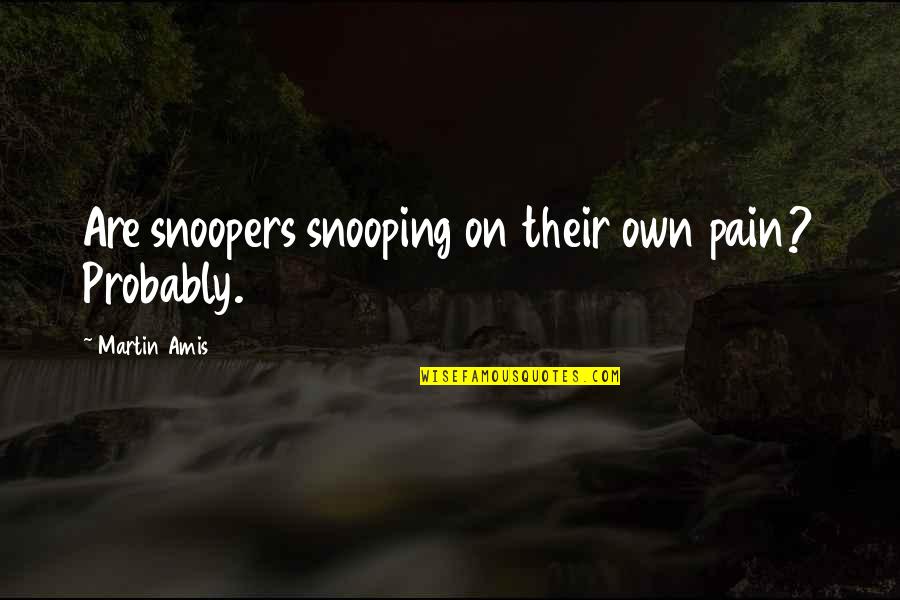 Shades Quotes And Quotes By Martin Amis: Are snoopers snooping on their own pain? Probably.