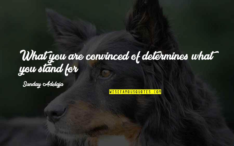 Shadi Ki Salgirah Quotes By Sunday Adelaja: What you are convinced of determines what you Shadi Ki Salgirah Quotes By Sunday Adelaja: What you are convinced of determines what you