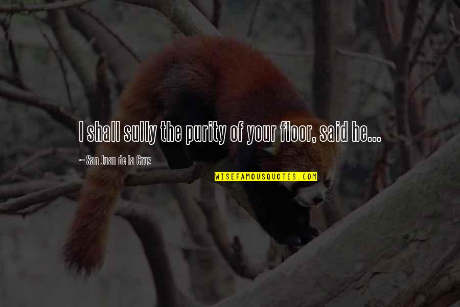 Shadieware Quotes By San Juan De La Cruz: I shall sully the purity of your floor, Shadieware Quotes By San Juan De La Cruz: I shall sully the purity of your floor,