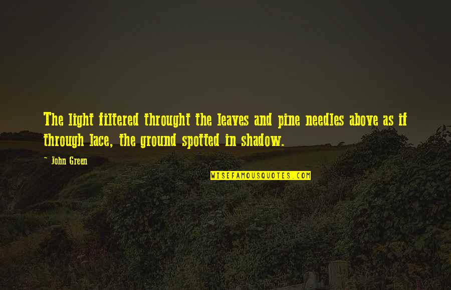 Shadow Leaves Quotes By John Green: The light filtered throught the leaves and pine