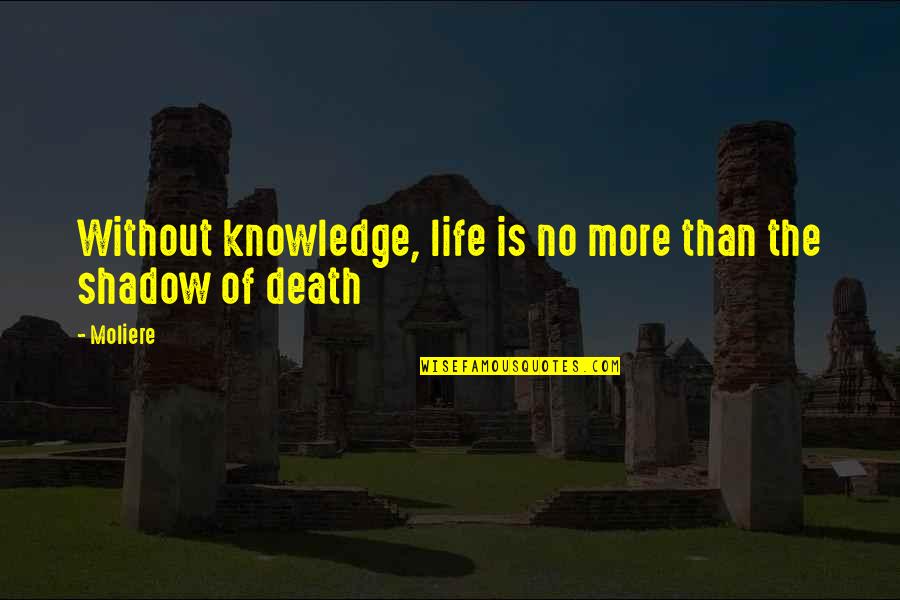 Shadow Of Life Quotes By Moliere: Without knowledge, life is no more than the