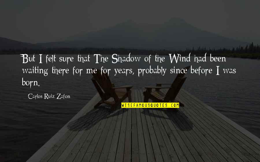 Shadow Of Wind Quotes By Carlos Ruiz Zafon: But I felt sure that The Shadow of