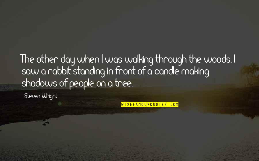 Shadow People Quotes By Steven Wright: The other day when I was walking through