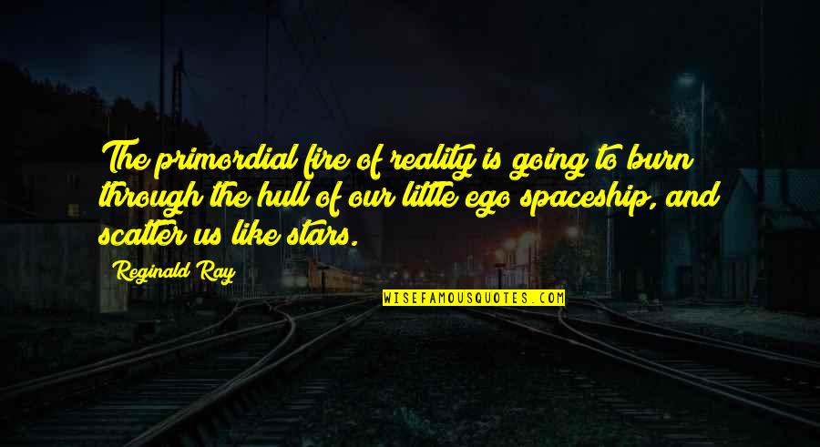Shadow S Embrace Quotes By Reginald Ray: The primordial fire of reality is going to