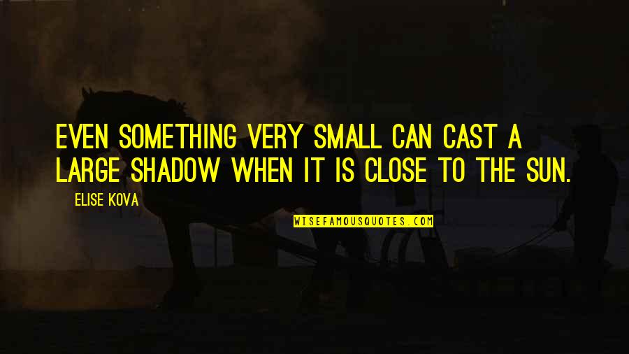 Shadow Small Quotes By Elise Kova: Even something very small can cast a large