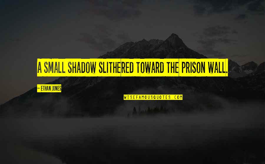 Shadow Small Quotes By Ethan Jones: A small shadow slithered toward the prison wall.