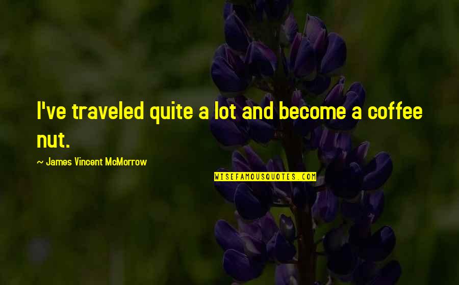 Shadowcat Quotes By James Vincent McMorrow: I've traveled quite a lot and become a