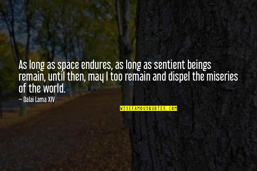 Shadowline Panties Quotes By Dalai Lama XIV: As long as space endures, as long as