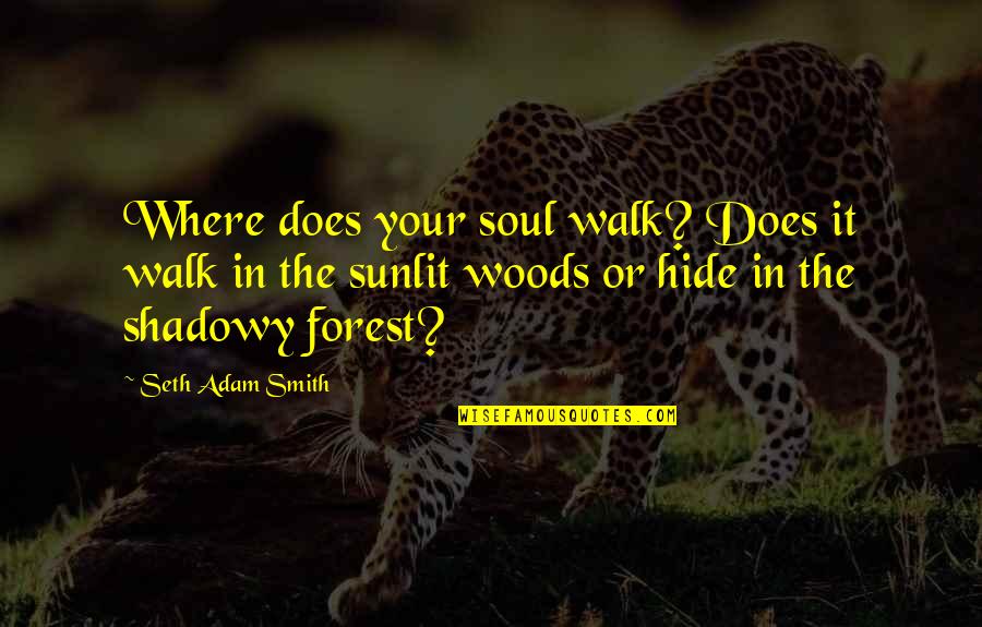 Shadows And Darkness Quotes By Seth Adam Smith: Where does your soul walk? Does it walk