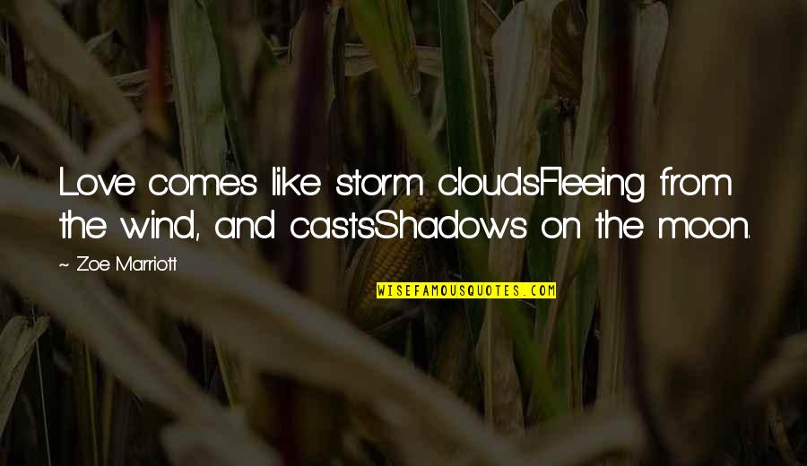 Shadows And Love Quotes By Zoe Marriott: Love comes like storm cloudsFleeing from the wind,