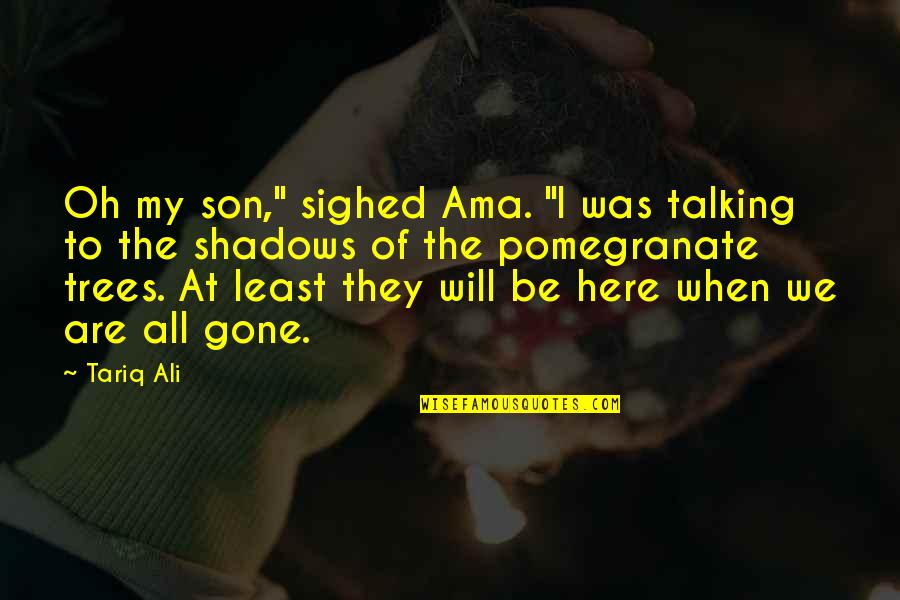Shadows Of Trees Quotes By Tariq Ali: Oh my son," sighed Ama. "I was talking
