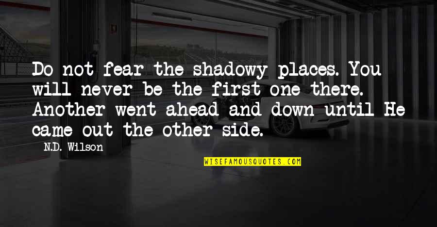 Shadowy Quotes By N.D. Wilson: Do not fear the shadowy places. You will