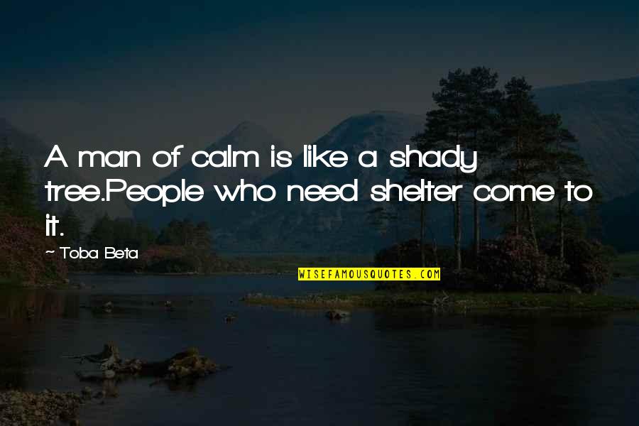 Shady Quotes By Toba Beta: A man of calm is like a shady