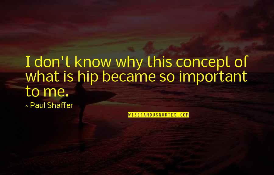 Shaffer Quotes By Paul Shaffer: I don't know why this concept of what