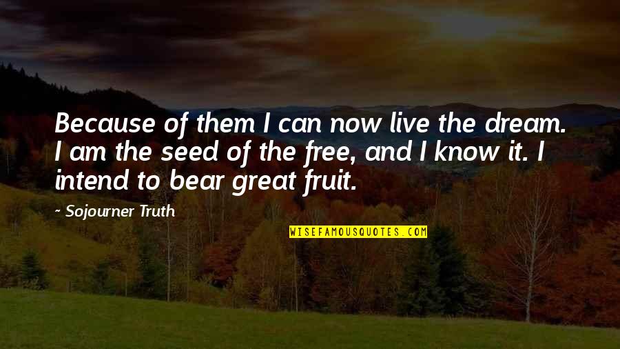 Shafi Quotes By Sojourner Truth: Because of them I can now live the