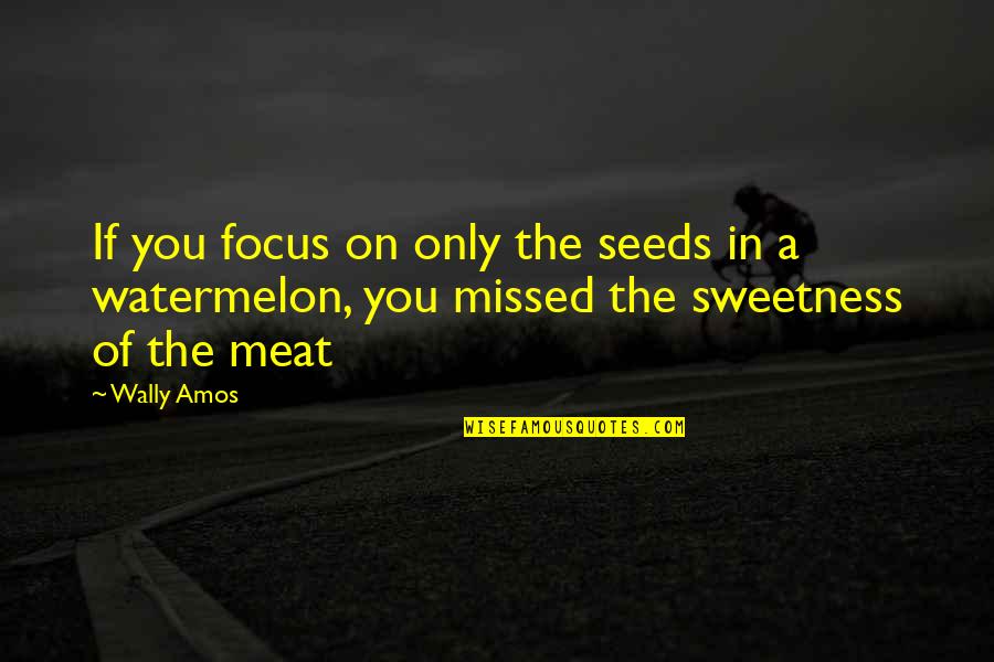 Shafika Husseini Quotes By Wally Amos: If you focus on only the seeds in