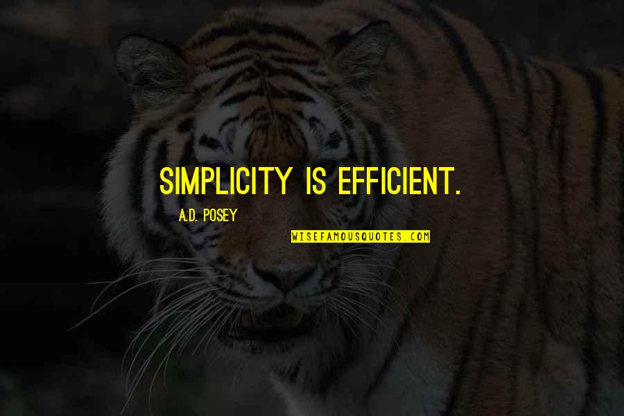 Shafique Keshavjee Quotes By A.D. Posey: Simplicity is efficient.