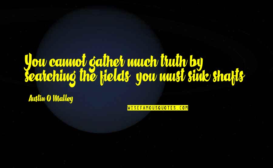 Shafts Quotes By Austin O'Malley: You cannot gather much truth by searching the