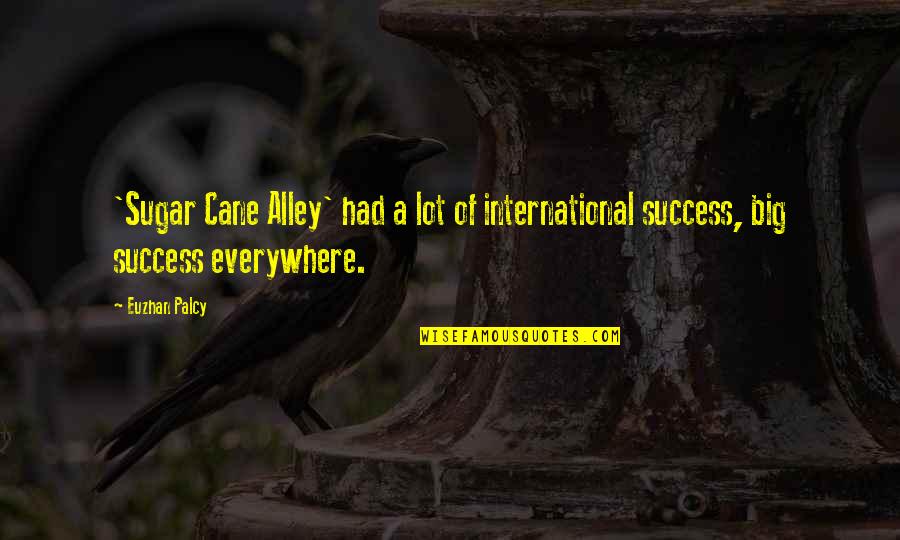 Shaftsand Quotes By Euzhan Palcy: 'Sugar Cane Alley' had a lot of international