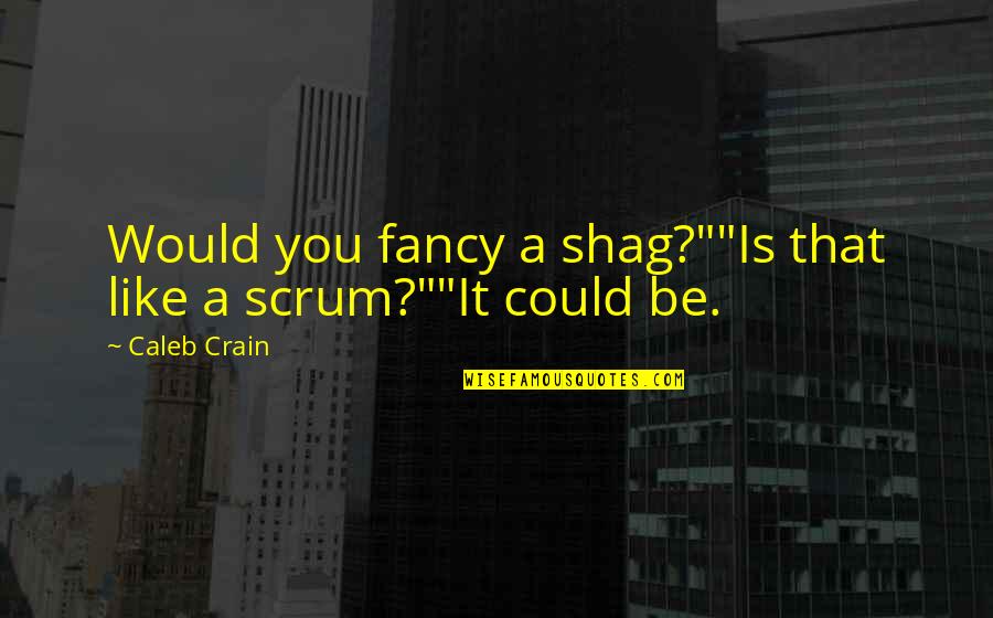 Shag Quotes By Caleb Crain: Would you fancy a shag?""Is that like a