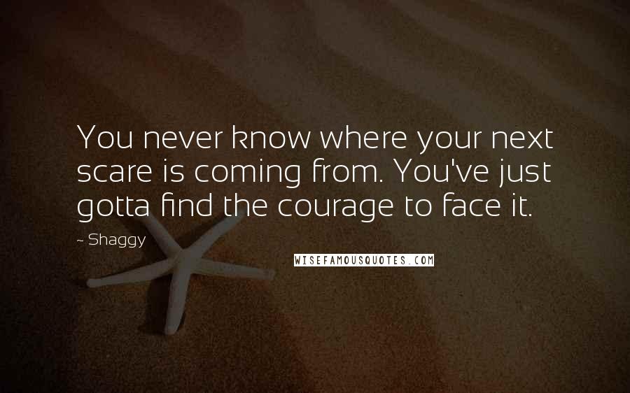 Shaggy quotes: You never know where your next scare is coming from. You've just gotta find the courage to face it.