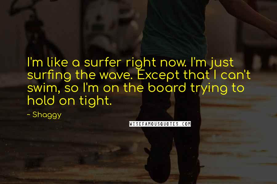 Shaggy quotes: I'm like a surfer right now. I'm just surfing the wave. Except that I can't swim, so I'm on the board trying to hold on tight.