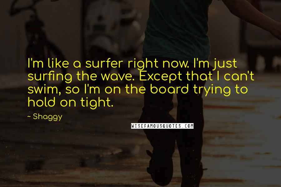 Shaggy quotes: I'm like a surfer right now. I'm just surfing the wave. Except that I can't swim, so I'm on the board trying to hold on tight. Shaggy quotes: I'm like a surfer right now. I'm just surfing the wave. Except that I can't swim, so I'm on the board trying to hold on tight.