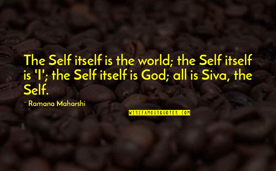 Shagin Nightlife Quotes By Ramana Maharshi: The Self itself is the world; the Self