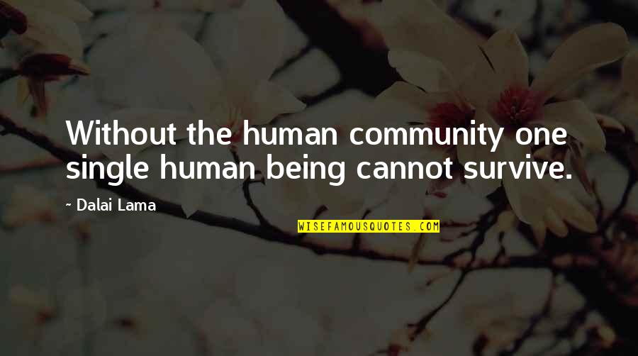 Shahab Quotes By Dalai Lama: Without the human community one single human being