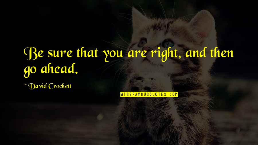 Shahaub Roudbaris Age Quotes By David Crockett: Be sure that you are right, and then