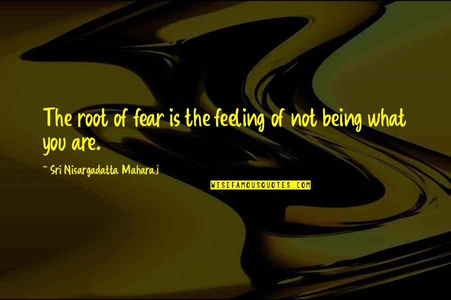 Shahbanou Of Iran Quotes By Sri Nisargadatta Maharaj: The root of fear is the feeling of