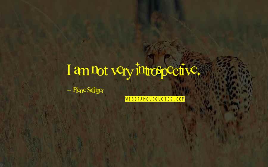 Shahnameh Characters Quotes By Pierre Salinger: I am not very introspective. Shahnameh Characters Quotes By Pierre Salinger: I am not very introspective.