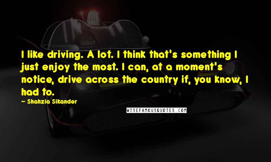 Shahzia Sikander quotes: I like driving. A lot. I think that's something I just enjoy the most. I can, at a moment's notice, drive across the country if, you know, I had to.