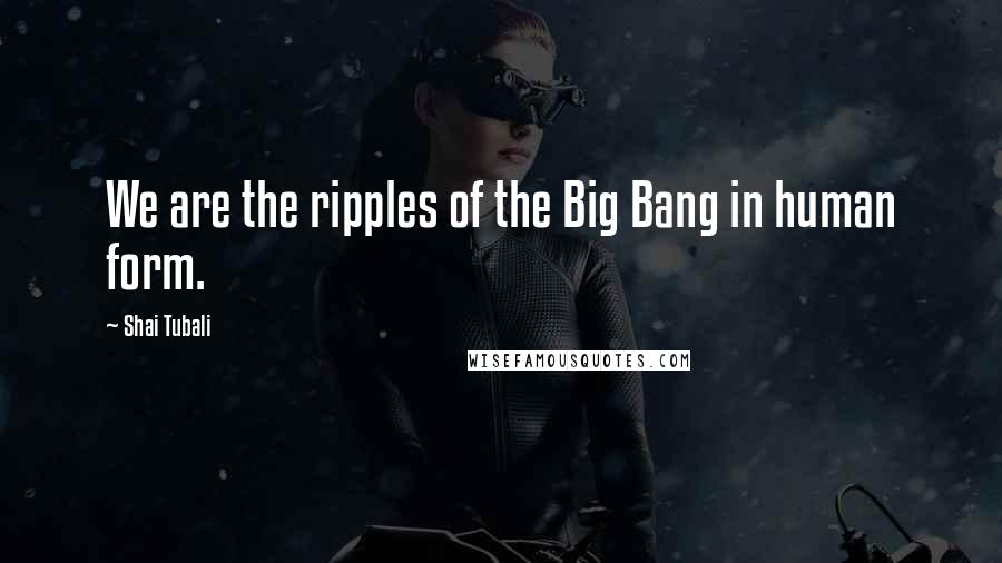 Shai Tubali quotes: We are the ripples of the Big Bang in human form.