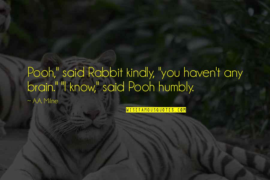 Shailaja Menon Quotes By A.A. Milne: Pooh," said Rabbit kindly, "you haven't any brain."