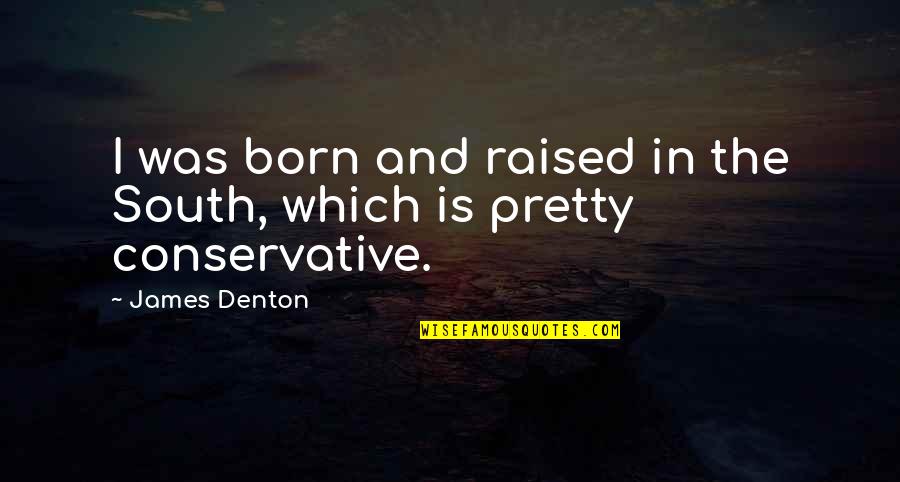 Shailender Chaudhry Quotes By James Denton: I was born and raised in the South,