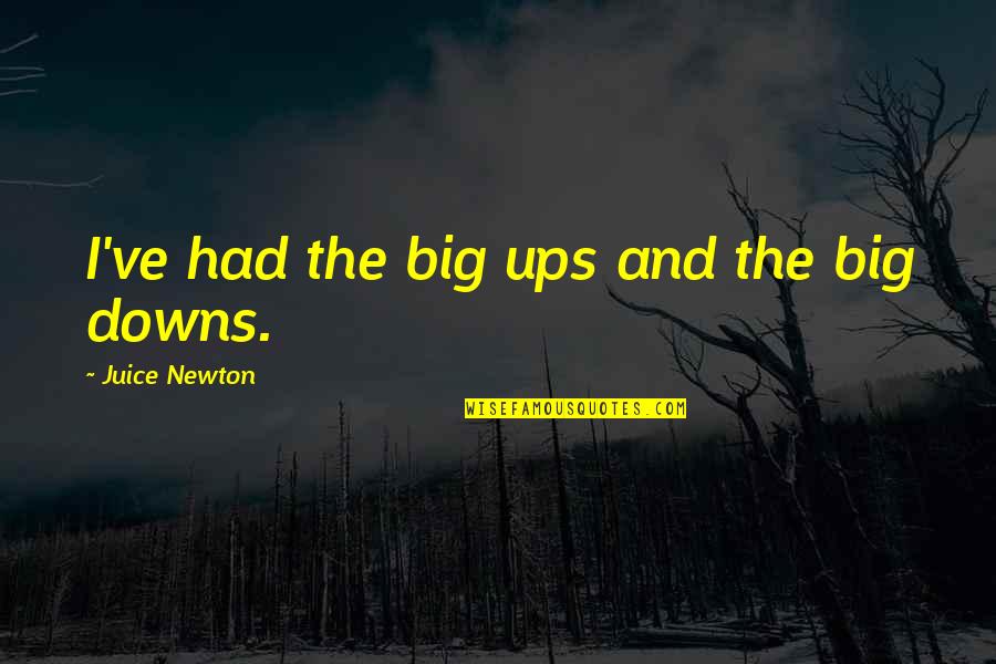 Shaivite Quotes By Juice Newton: I've had the big ups and the big