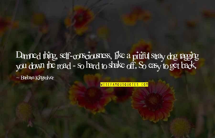 Shake Back Quotes By Barbara Kingsolver: Damned thing, self-consciousness, like a pitiful stray dog