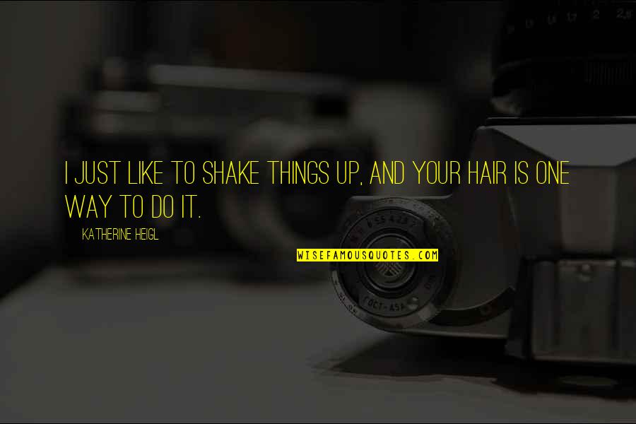 Shake It Up Quotes By Katherine Heigl: I just like to shake things up, and