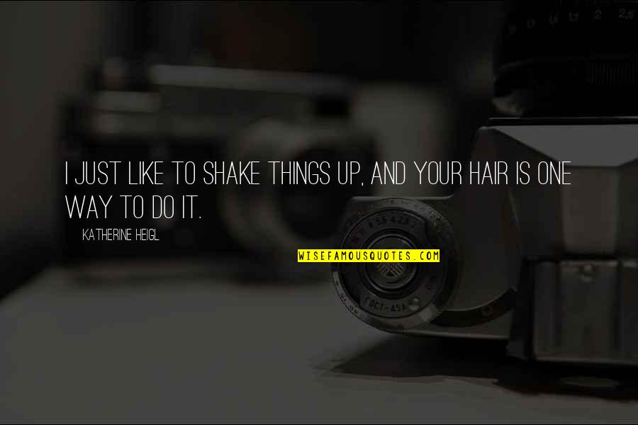 Shake Up Quotes By Katherine Heigl: I just like to shake things up, and
