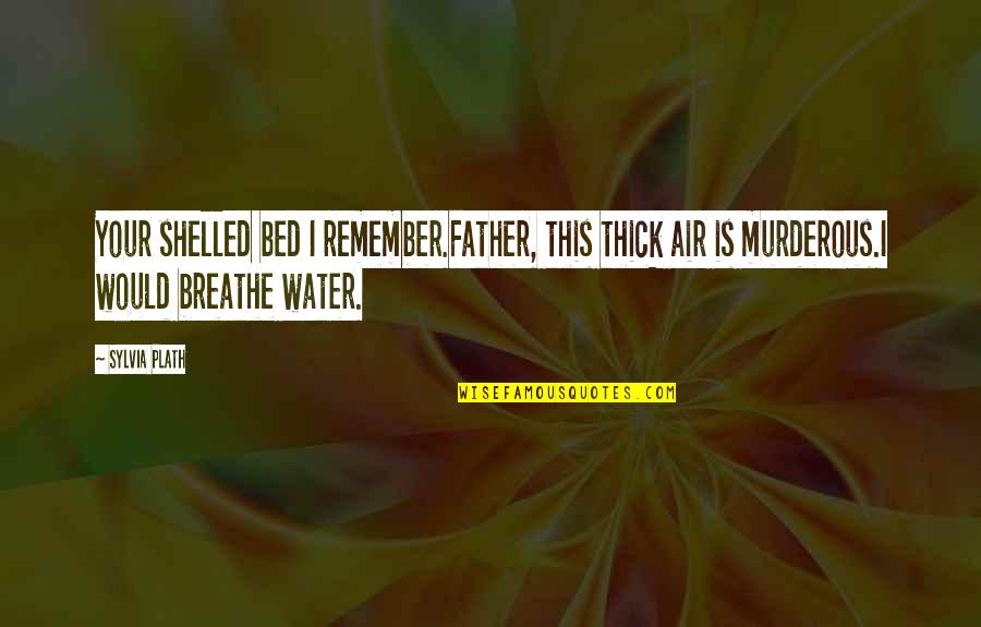 Shakespeare Castles Quotes By Sylvia Plath: Your shelled bed I remember.Father, this thick air