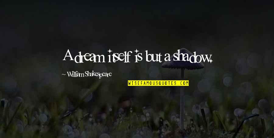 Shakespeare Reveal Quotes By William Shakespeare: A dream itself is but a shadow.