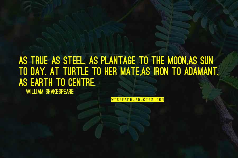 Shakespeare Sun Moon Quotes By William Shakespeare: As true as steel, as plantage to the